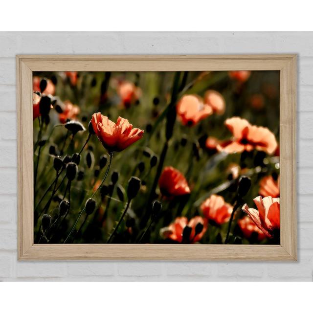 Single Picture Frame Art Prints Ebern Designs Size: 59.7cm H x 84.1cm W on Productcaster.