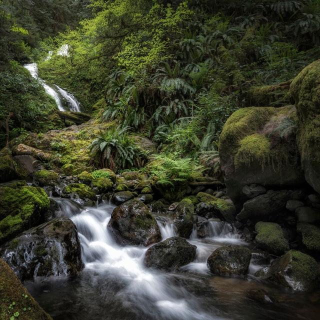 Oasis by Danny Head - Wrapped Canvas Photograph Alpen Home Size: 91cm H x 91cm W on Productcaster.