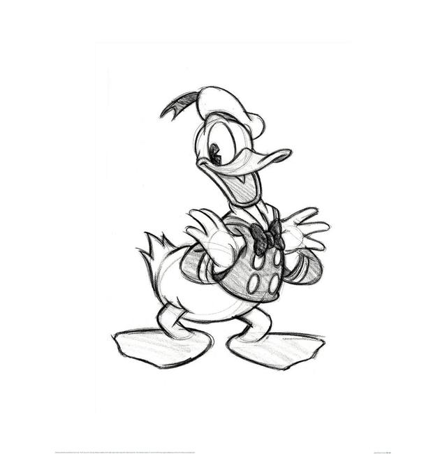 Donald Duck (Sketch) Paper Print Disney on Productcaster.