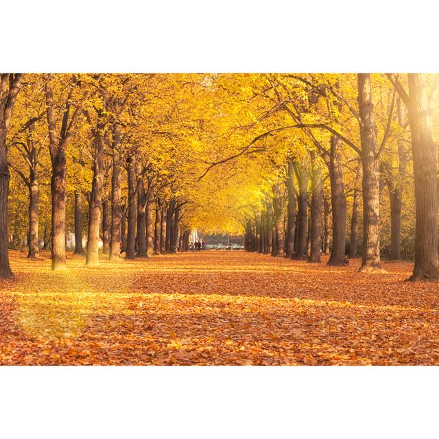 Autumn A Park Bench - Print Alpen Home Size: 30cm H x 46cm W x 3.8cm D on Productcaster.