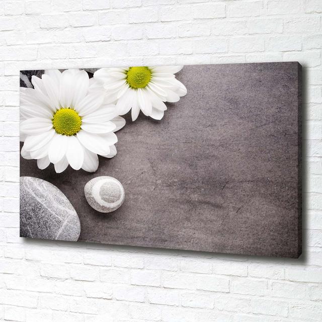 Gerbera - Unframed Art Prints on Canvas Brayden Studio on Productcaster.