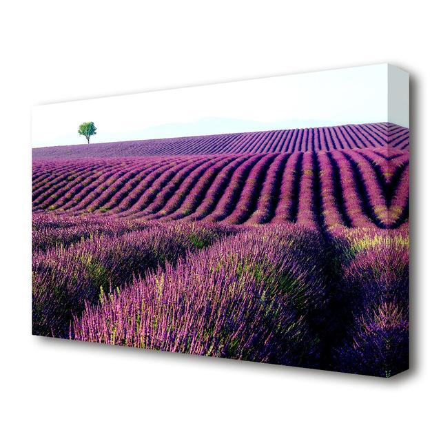 Summer Lavender Fields Landscape - Photograph Print on Canvas East Urban Home Size: 50.8 cm H x 81.3 cm W on Productcaster.