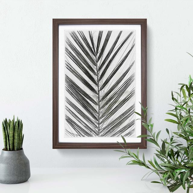 Plat Leaf in Abstract - Picture Frame Graphic Art Print East Urban Home Frame Option: Walnut, Size: 50cm H x 35cm W x 2cm D on Productcaster.