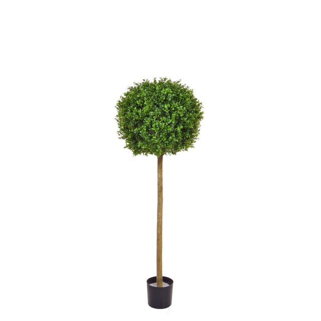 Artificial Buxus Single Ball Tree Boxwood Topiary in Planter The Seasonal Aisle on Productcaster.