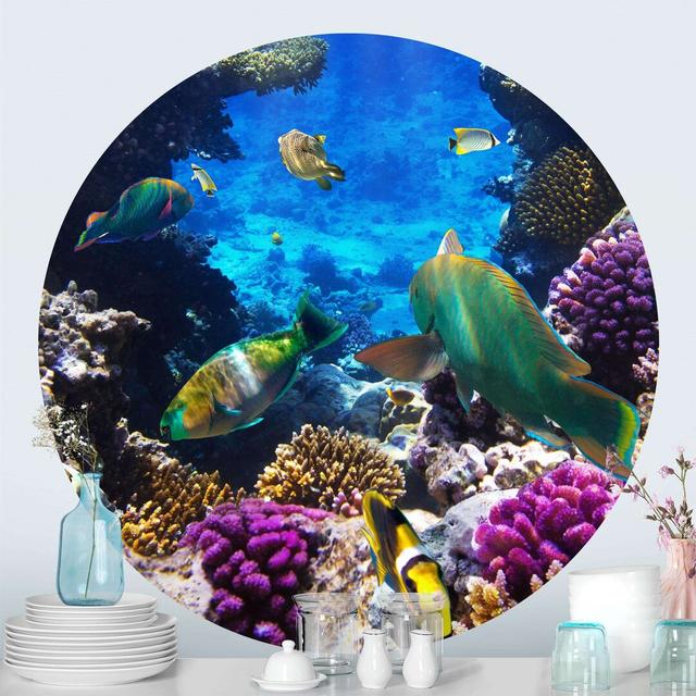 Round wallpaper self-adhesive - Underwater Dreams Highland Dunes Size: 244cm L x 244cm W on Productcaster.