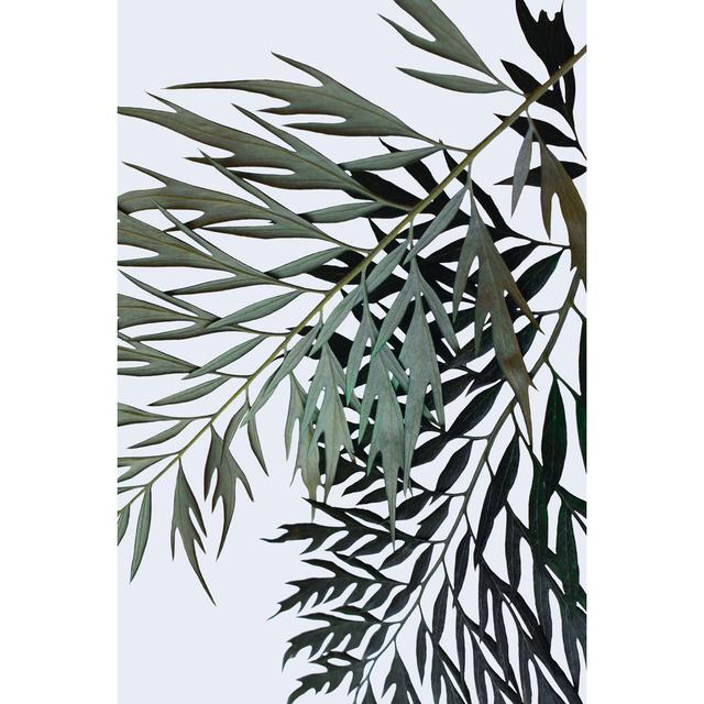 Leaves 2 - Wrapped Canvas Graphic Art Bay Isle Home Size: 76cm H x 51cm W x 3.8cm D on Productcaster.