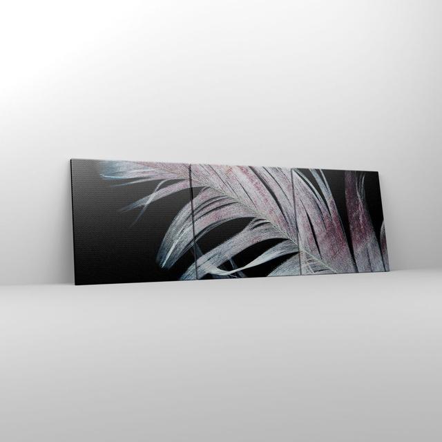 Feather The Colors Delicacy - 3 Piece Wrapped Canvas Panoramic Photograph Bloomsbury Market Size: 50cm H x 150cm W on Productcaster.