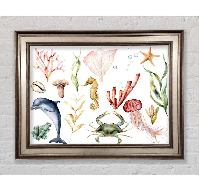 Water Colour Sea Creatures Framed Print Bright Star Size: 29.7cm H x 42cm W on Productcaster.