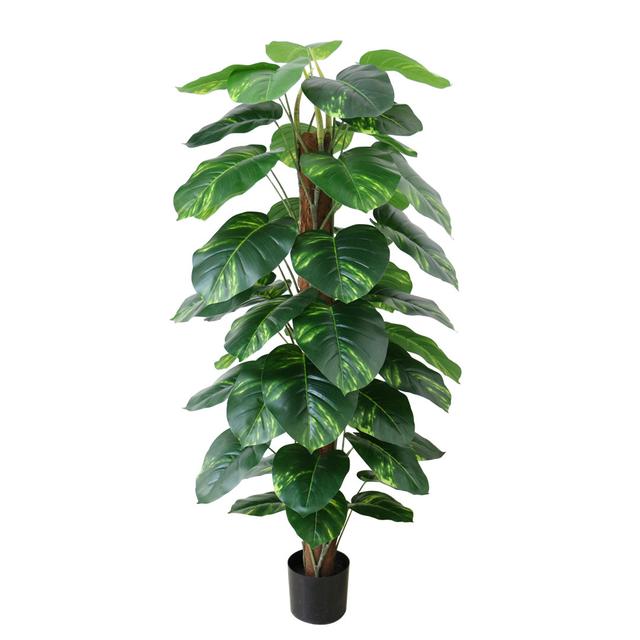 Faux Dieffenbachia Plant Plant The Seasonal Aisle Size: 152" H x 80" W x 80" D on Productcaster.