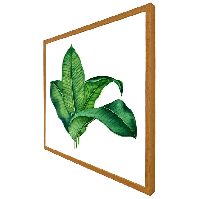 Salix Bunched Leaves - Single Picture Frame Art Prints Brambly Cottage Frame Colour: Black Framed, Size: 51cm H x 51cm W x 4cm D on Productcaster.