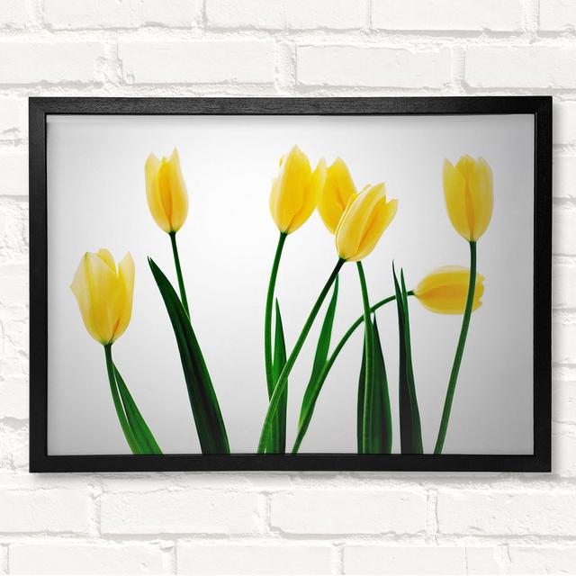 Yellow Tulip March Framed Print Brayden Studio Size: 21cm H x 29.7cm W x 8cm D, Format: Gold/Black Framed Paper on Productcaster.