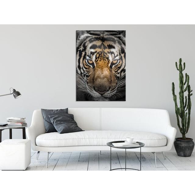 Tiger with Light Brown Eyes - Unframed Photograph on Glass 17 Stories Size: 80cm H x 60cm W x 0.4cm D on Productcaster.