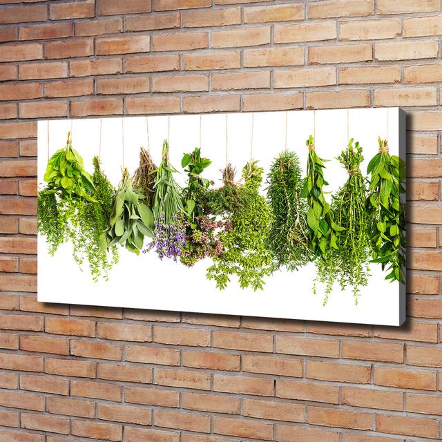 Herbs on a String - Wrapped Canvas Art Prints Brayden Studio on Productcaster.