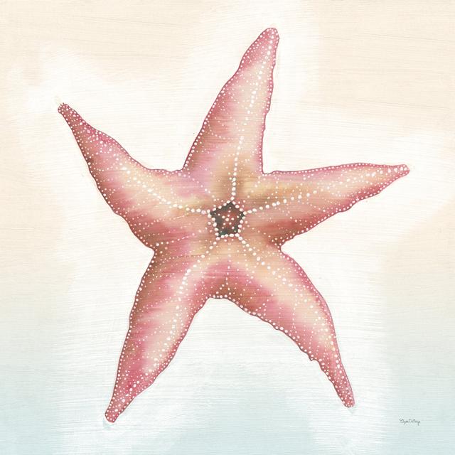 Boardwalk Starfish House of Hampton Size: 91cm H x 91cm W x 3.8cm D on Productcaster.