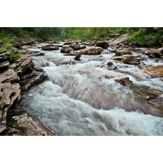 Lachance Chattanooga Wilderness - Wrapped Canvas Print Alpen Home Size: 20cm H x 30cm W x 3.8cm D on Productcaster.