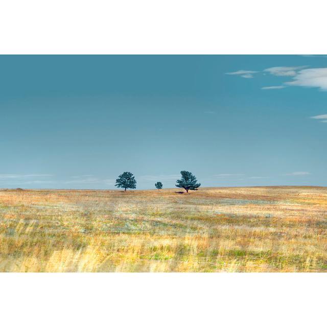 Bucolic Scene XV Natur Pur Size: 51cm H x 76cm W x 3.8cm D on Productcaster.