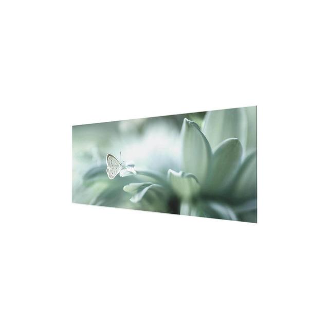 'Butterfly and Dew Drops' Photograph on Glass East Urban Home Size: 40 cm H x 100 cm W on Productcaster.