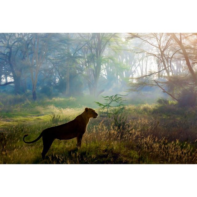 Lioness Hunting - Print 17 Stories Size: 20cm H x 30cm W on Productcaster.