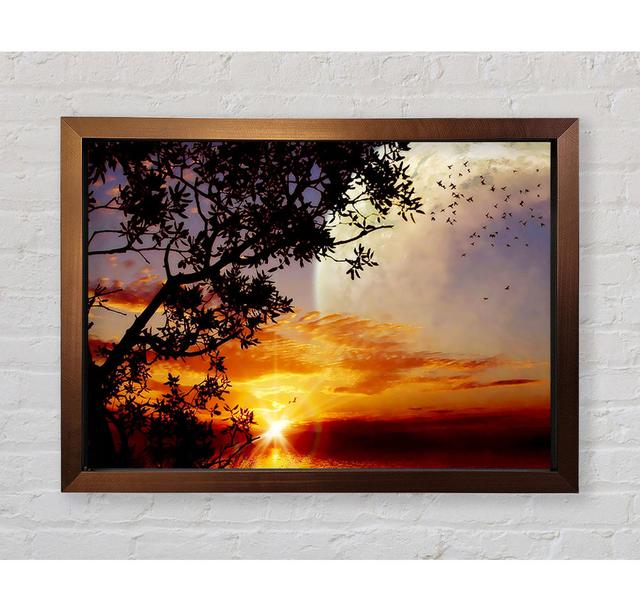 Suns First Light - Single Picture Frame Art Prints Bright Star Size: 59.7cm H x 84.1cm W x 3.4cm D on Productcaster.