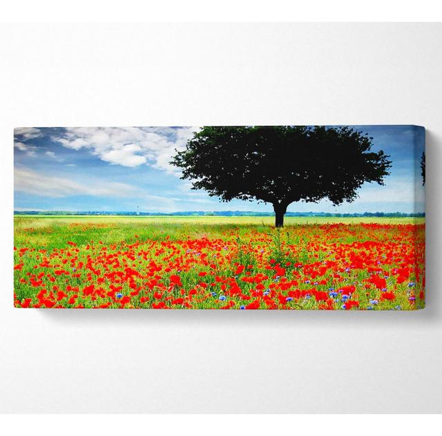 Poppy Field Tree Panoramic Canvas Ebern Designs Size: 71cm H x 162.5cm W x 10cm D on Productcaster.