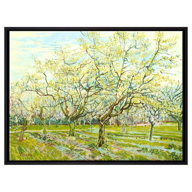 Gerahmtes Leinwandbild Der weiße Obstgarten von Vincent Van Gogh Rosalind Wheeler Maße: 65 cm H x 85 cm B x 2,5 cm T on Productcaster.