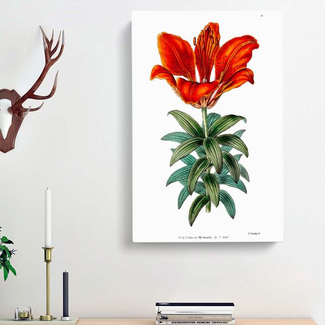 Blooming Red Lily - Wrapped Canvas Painting East Urban Home Size: 76cm H x 50cm W x 3cm D on Productcaster.