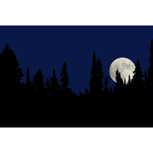 A Full Moon At Night In The Forest by SAMIphoto - No Frame Print on Canvas Alpen Home Size: 51cm H x 76cm W on Productcaster.