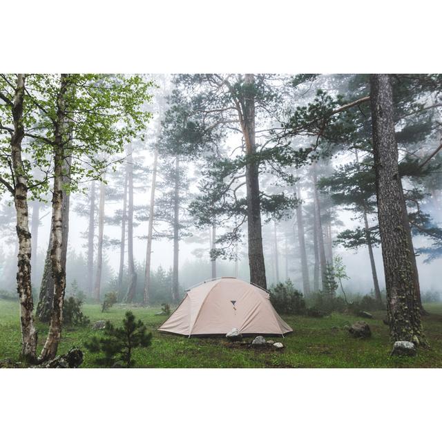 Foggy Forest by Olegbre Slavtsev - Wrapped Canvas Photograph Alpen Home Size: 81cm H x 122cm W on Productcaster.