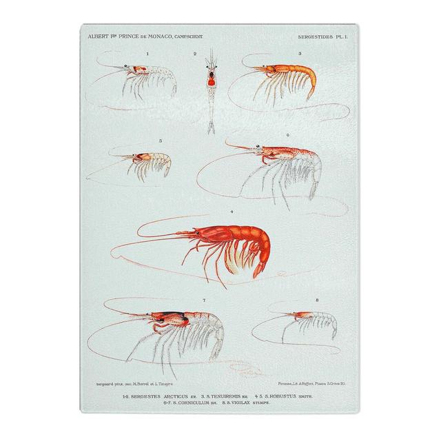 Tempered Glass Selection of Shrimp by Albert I Chopping Board East Urban Home Size: 20 cm x 28.5 cm on Productcaster.