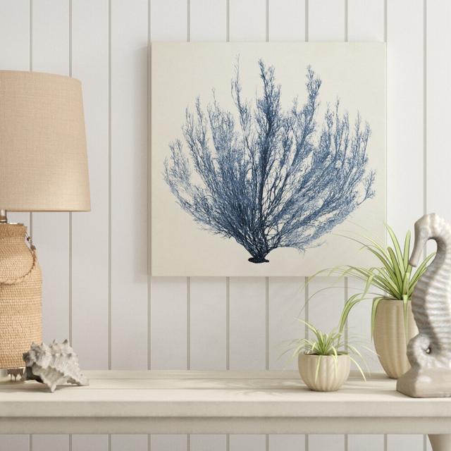 Coastal Seaweed III by Vision Studio - Wrapped Canvas Painting Blue Elephant Size: 51cm H x 51cm W on Productcaster.