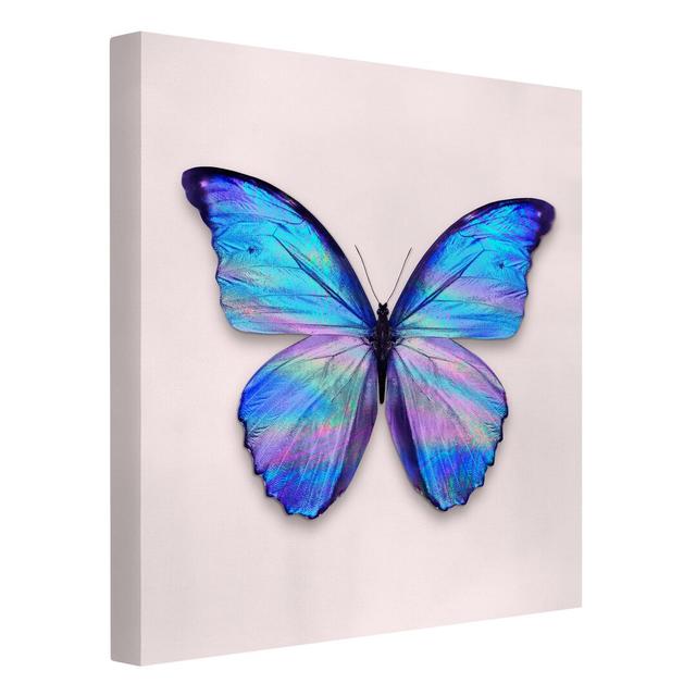 Holographic Butterfly by Jonas Loose - Wrapped Canvas Graphic Art August Grove on Productcaster.