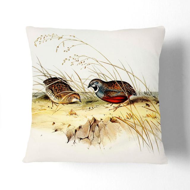 Chinese Quail by Elizabeth Gould Cushion with Filling East Urban Home Size: 40cm H x 40cm W x 15cm D, Backing Colour: Black on Productcaster.