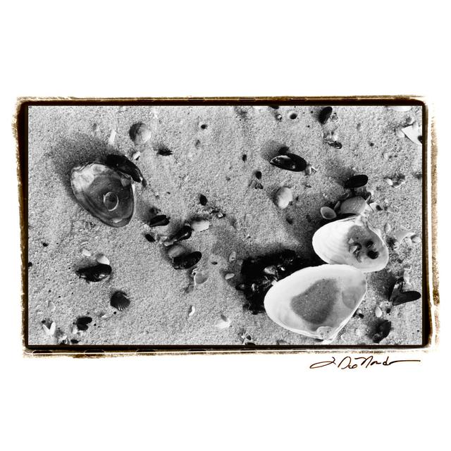 Sand Treasures I by Laura DeNardo - Wrapped Canvas Photograph Highland Dunes Size: 30cm H x 46cm W x 3.8cm D on Productcaster.