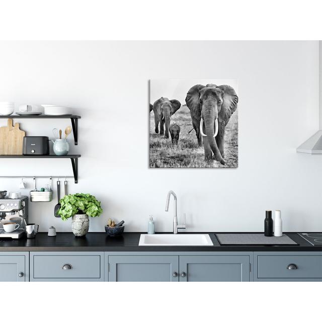 Large Wandering Herd Of Elephants - No Frame Print on Glass Brayden Studio Size: 60cm H x 60cm W x 0.4cm D on Productcaster.