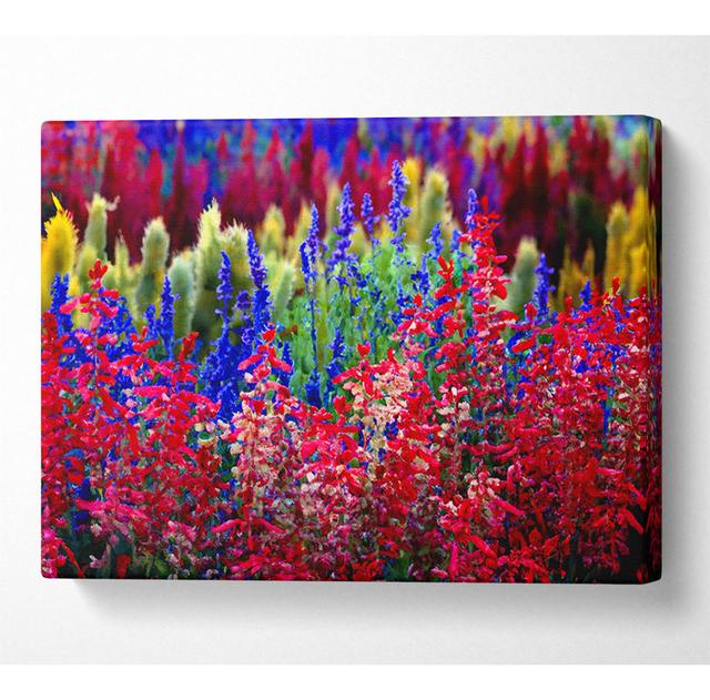 Rainbow Flowers - Print ClassicLiving Size: 66cm H x 106.6cm W x 10cm D on Productcaster.