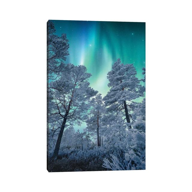 Winter Magic by Lauri Lohi - Wrapped Canvas Painting Alpen Home Size: 30.48cm H x 20.32cm W x 1.905cm D on Productcaster.