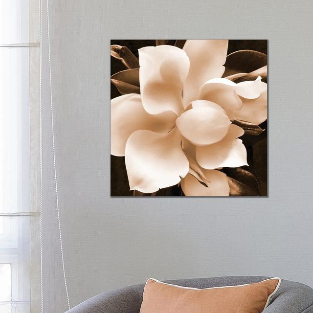 Sepia Magnolia II by Christine Zalewski - Wrapped Canvas Print ClassicLiving Size: 66.04cm H x 66.04cm W x 1.905cm D on Productcaster.