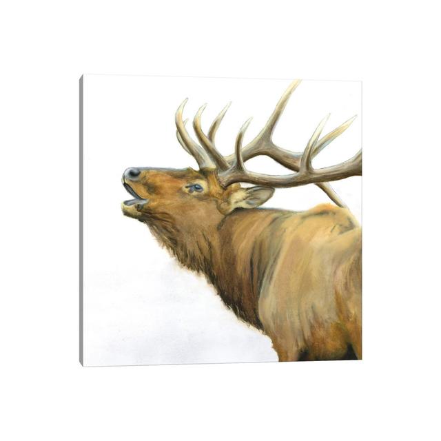 Majestic Brown Elk by James Wiens - Wrapped Canvas Painting Gracie Oaks Size: 66.04cm H x 66.04cm W x 3.81cm D on Productcaster.