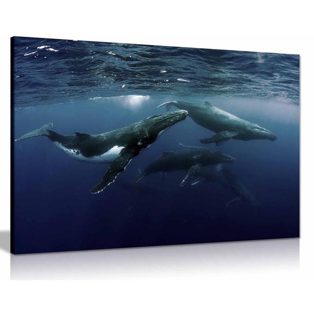 Humpback Whale Ocean 2 Canvas Wall Art Picture Print Home Decor Highland Dunes Size: 20cm H x 31cm W on Productcaster.