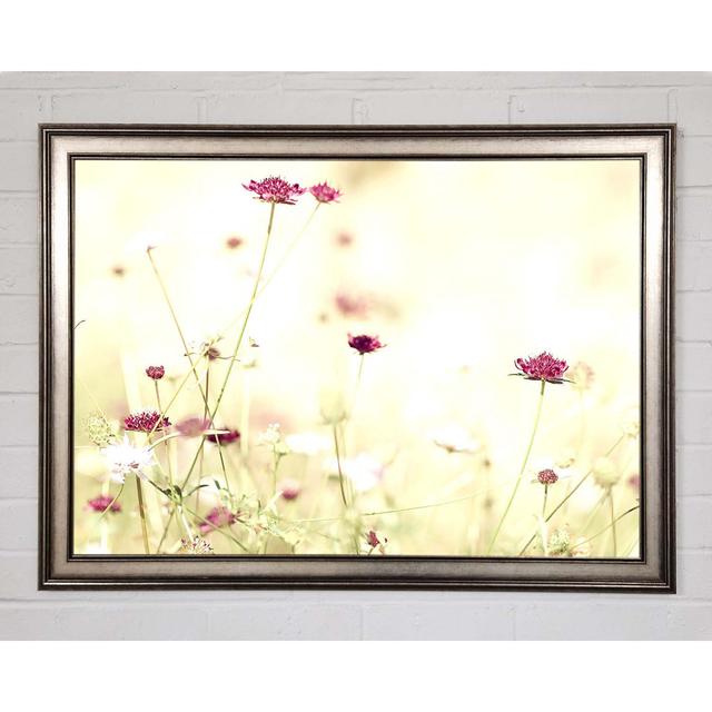 Wildflowers In Stunning Sunlight - Single Picture Frame Art Prints Ophelia & Co. Size: 59.7cm H x 84.1cm W x 1.5cm D on Productcaster.