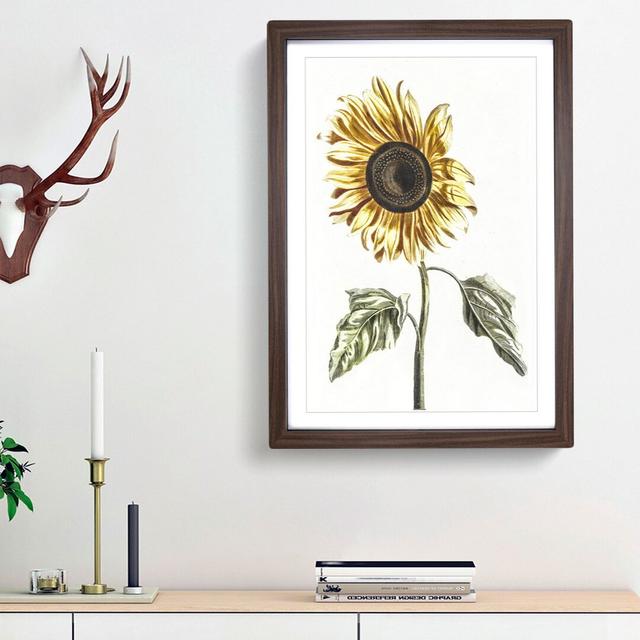 A Sunflower by Johan Teyler - Single Picture Frame Painting East Urban Home Frame Option: Walnut Framed, Size: 45cm H x 33cm W x 2cm D on Productcaster.