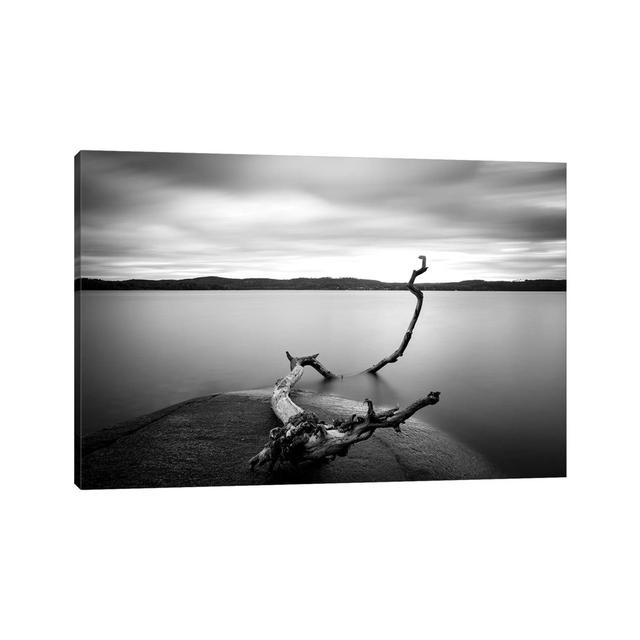 Branch Long Exposure Lake by Christian Lindsten - Wrapped Canvas Print Union Rustic Size: 45.72cm H x 66.04cm W x 3.81cm D on Productcaster.