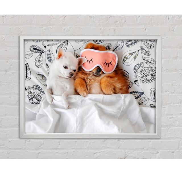 Chihuahua Bedtime Dog Love - Single Picture Frame Art Prints on Canvas Ebern Designs Size: 59.7cm H x 84.1cm W x 3.3cm D on Productcaster.