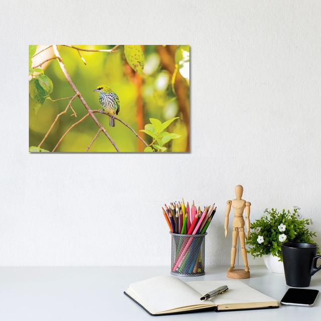 Central America, Costa Rica. Speckled Tanager In Tree. by Jaynes Gallery - Wrapped Canvas Gallery-Wrapped Canvas Giclée Latitude Run Size: 20.32cm H x on Productcaster.