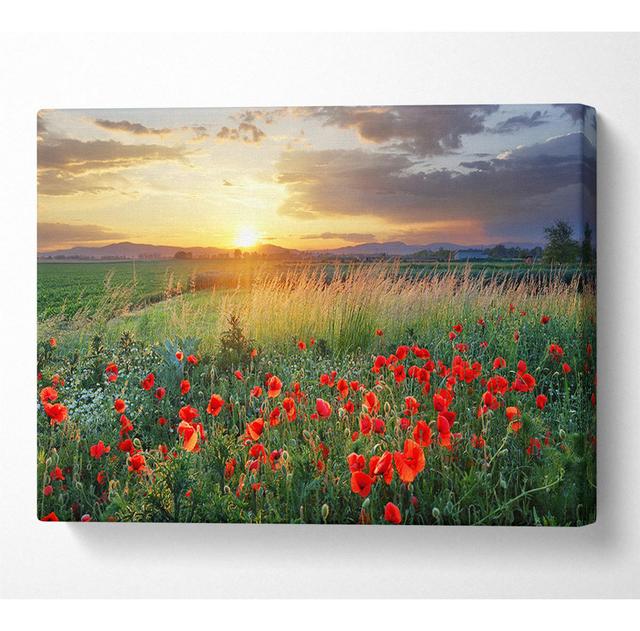 Red Poppies in the Green Countryside - Wrapped Canvas Photograph Brambly Cottage Size: 66cm H x 106.6cm W on Productcaster.