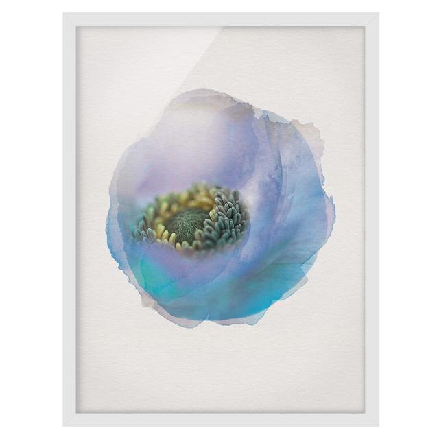 Anemone on the River - Picture Frame Graphic Art Rosalind Wheeler Size: 70cm H x 50cm W x 2cm D, Frame Option: White Framed on Productcaster.