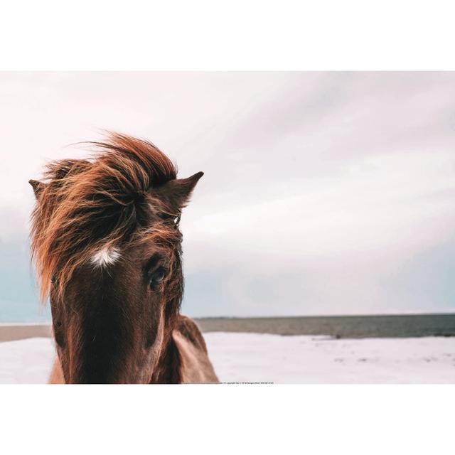 Horse with Hair Blowing in the Wind - Wrapped Canvas Art Prints Natur Pur Size: 51cm H x 76cm W on Productcaster.