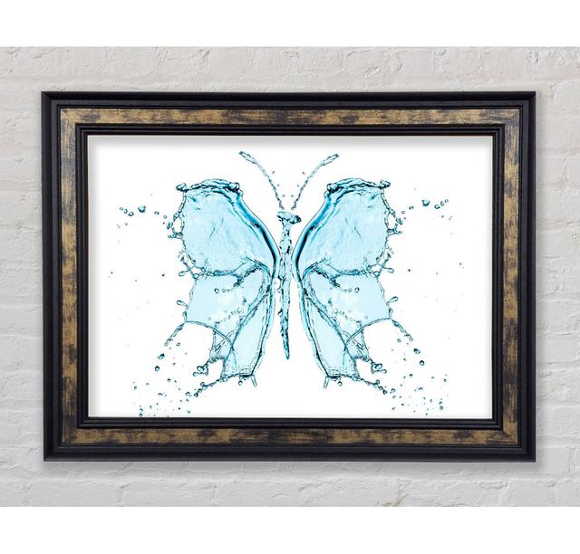 Water Butterfly - Single Picture Frame Art Prints Bright Star Size: 29.7cm H x 42cm W on Productcaster.