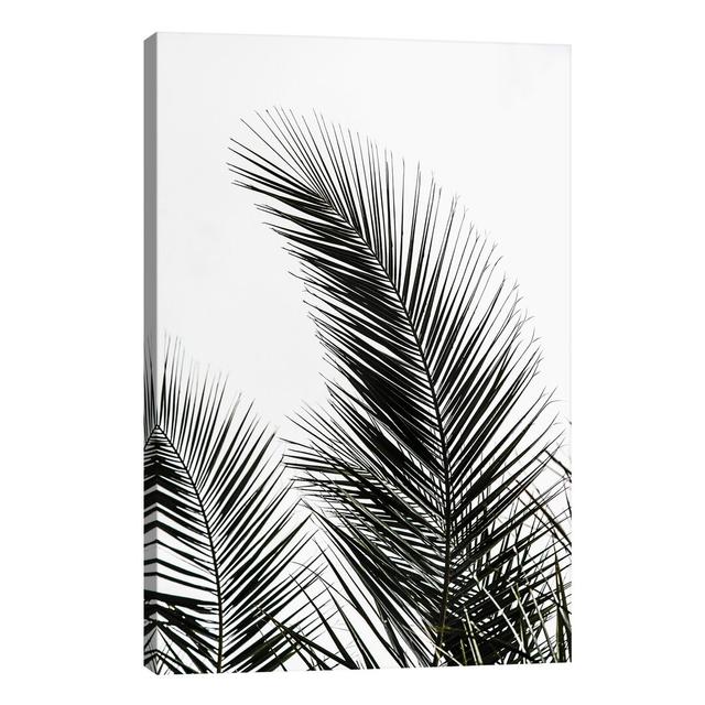 Palm Leaves I by Mareike Böhmer - Wrapped Canvas Print 17 Stories Size: 152.4cm H x 101.6cm W x 3.81cm D on Productcaster.