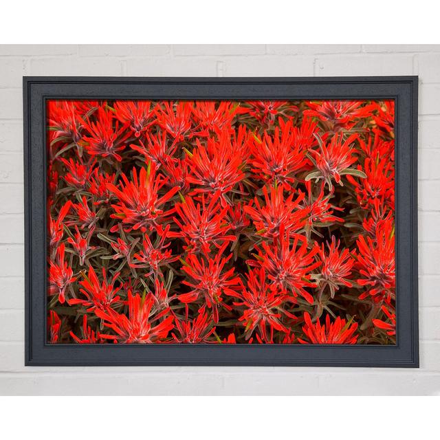 Red Paintbrush Utah - Single Picture Frame Art Prints Ebern Designs on Productcaster.